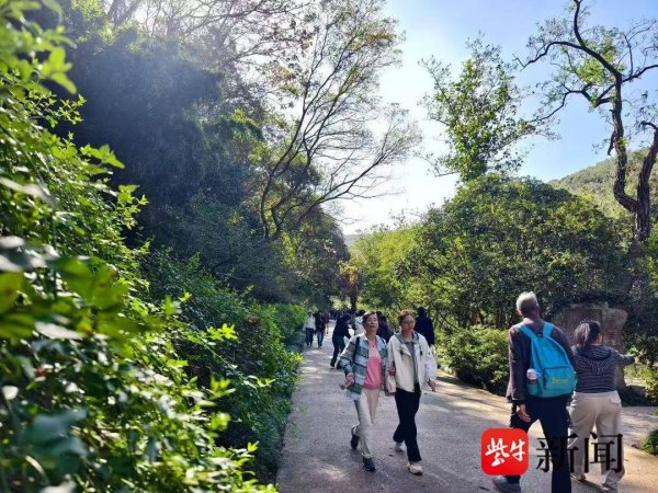 股融通 看周传雄、苏有朋演唱会还能半价游镇江！四大景区福利上线，观演 + 游玩双重嗨