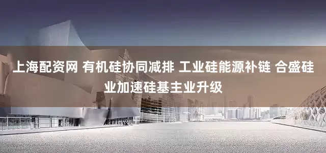 上海配资网 有机硅协同减排 工业硅能源补链 合盛硅业加速硅基主业升级